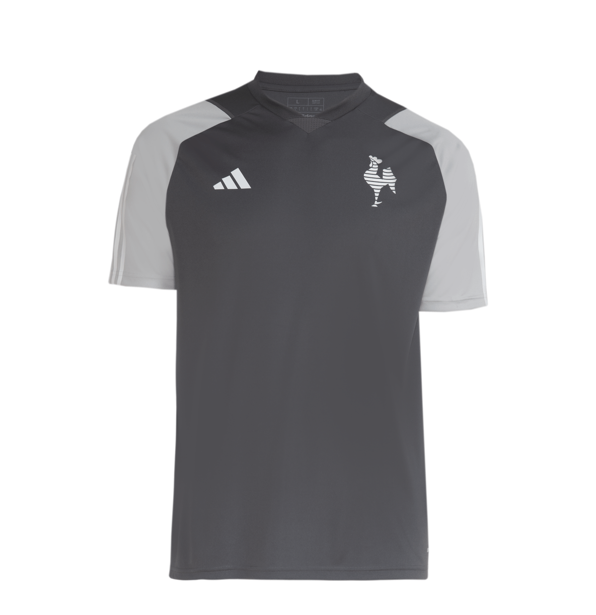 Atlético Mineiro 2024 TREINO - Fan Version