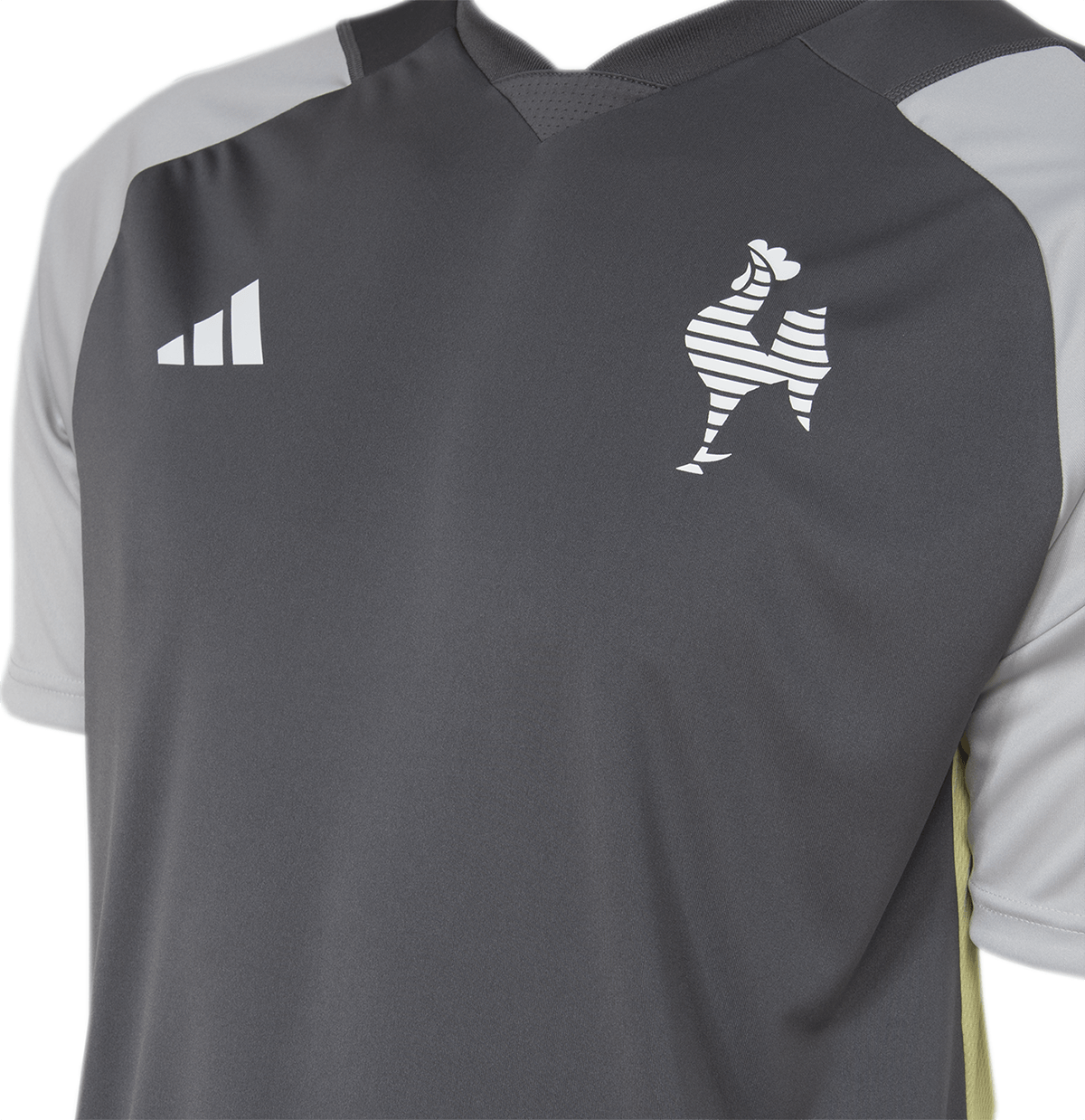 Atlético Mineiro 2024 TREINO - Fan Version