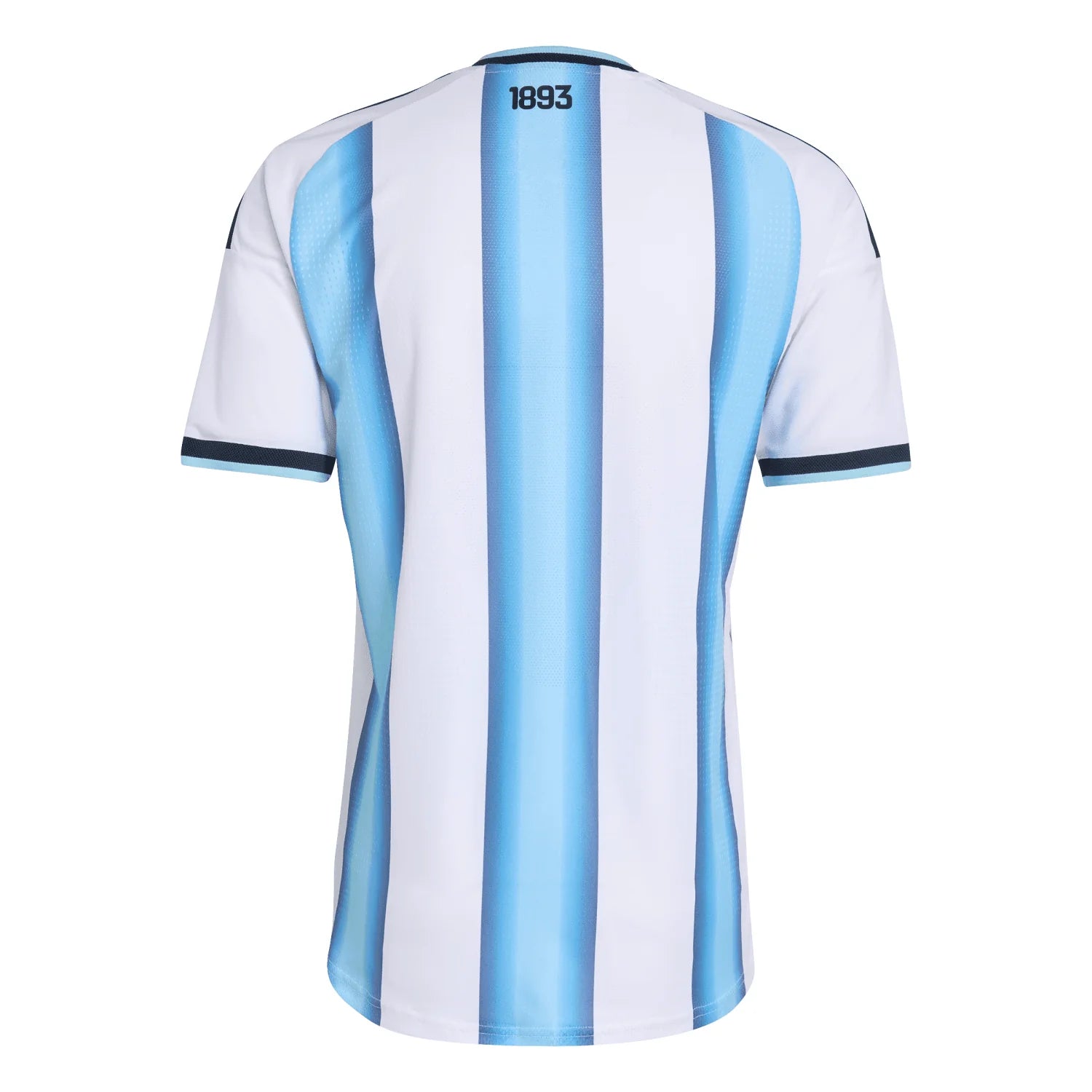 Argentina 26/27 Home Fan Version - World Cup