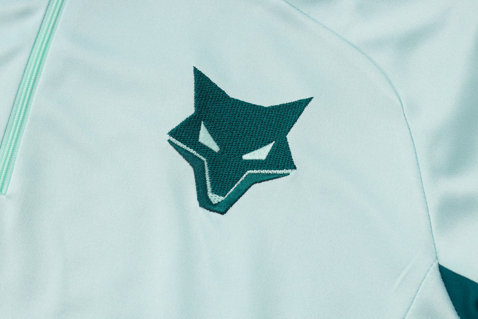 CRUZEIRO 2025 training Set