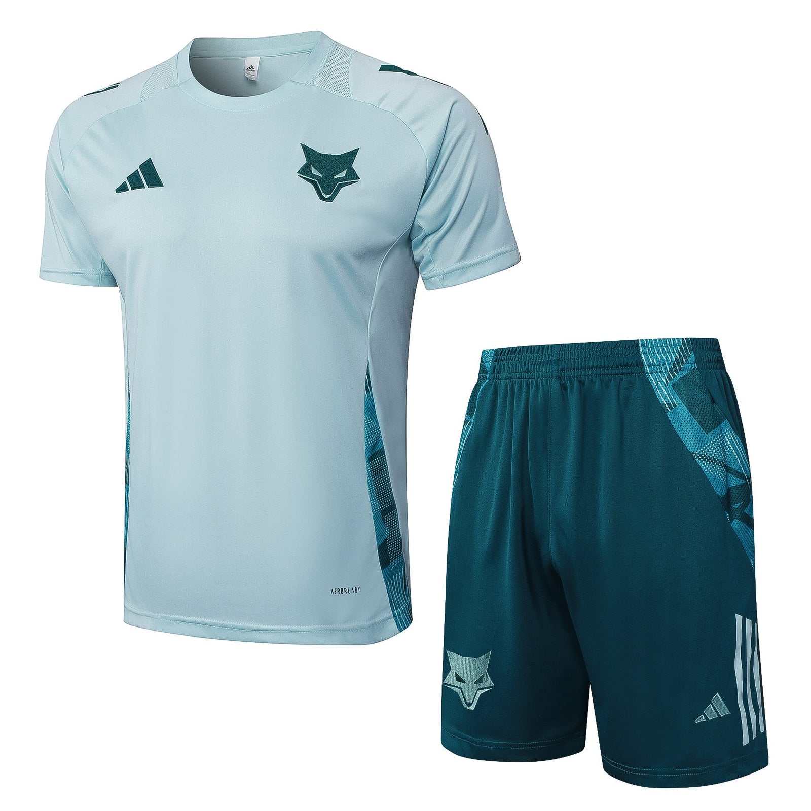 CRUZEIRO 2025 training Set