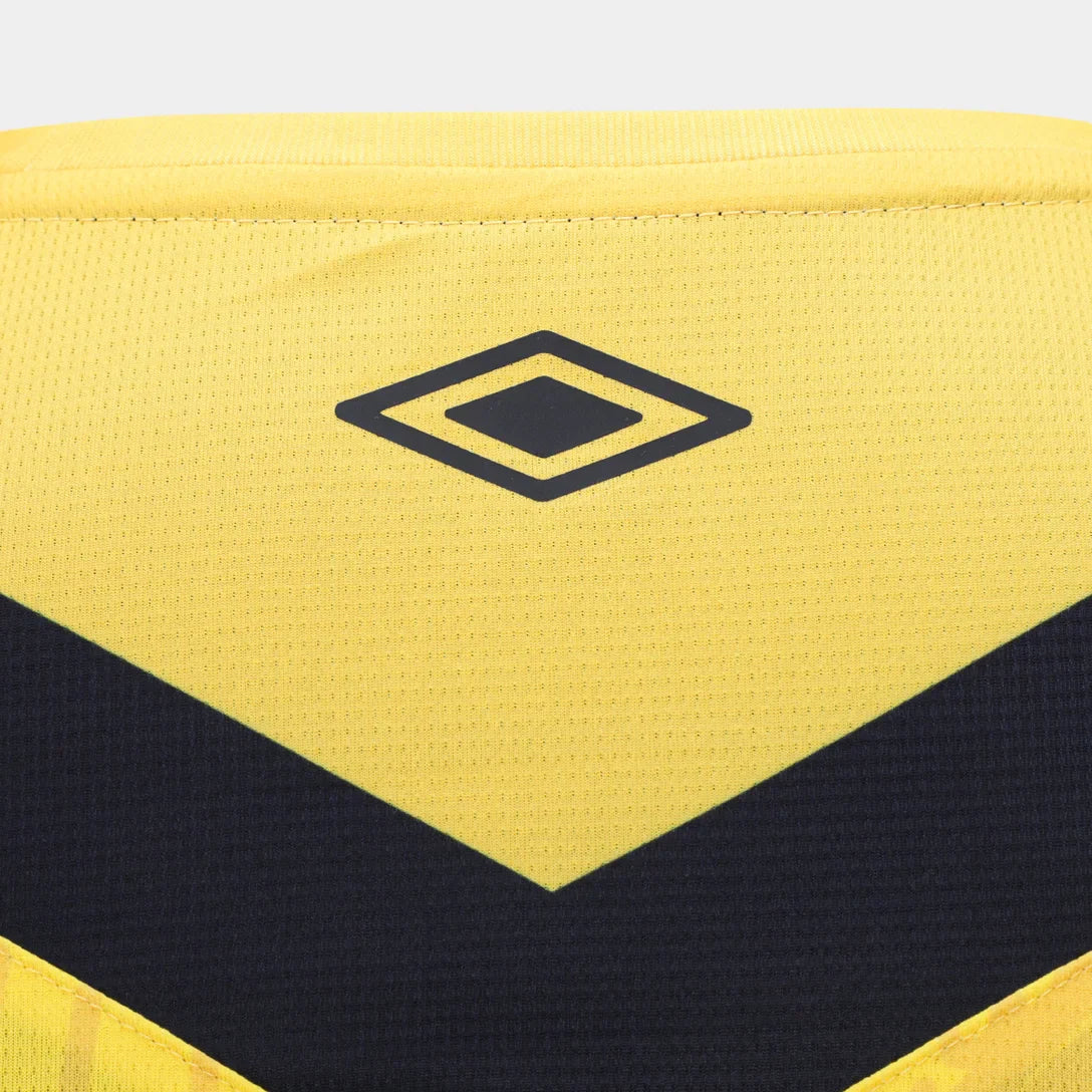 Santos 2024/25  III THIRD Jersey - Fan Version