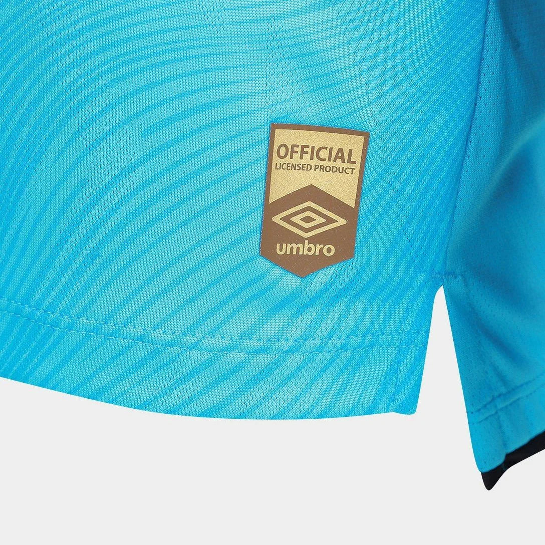 SANTOS 2025/26 SPECIAL EDITION - PLAYER VERION