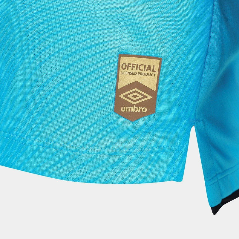 SANTOS 2025/26 SPECIAL EDITION - PLAYER VERION