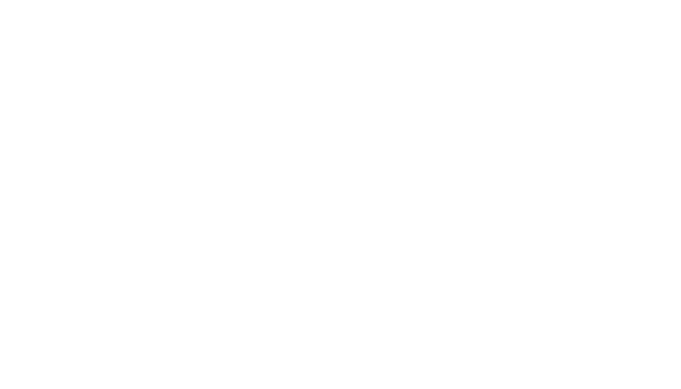 LZ S SHIRTS